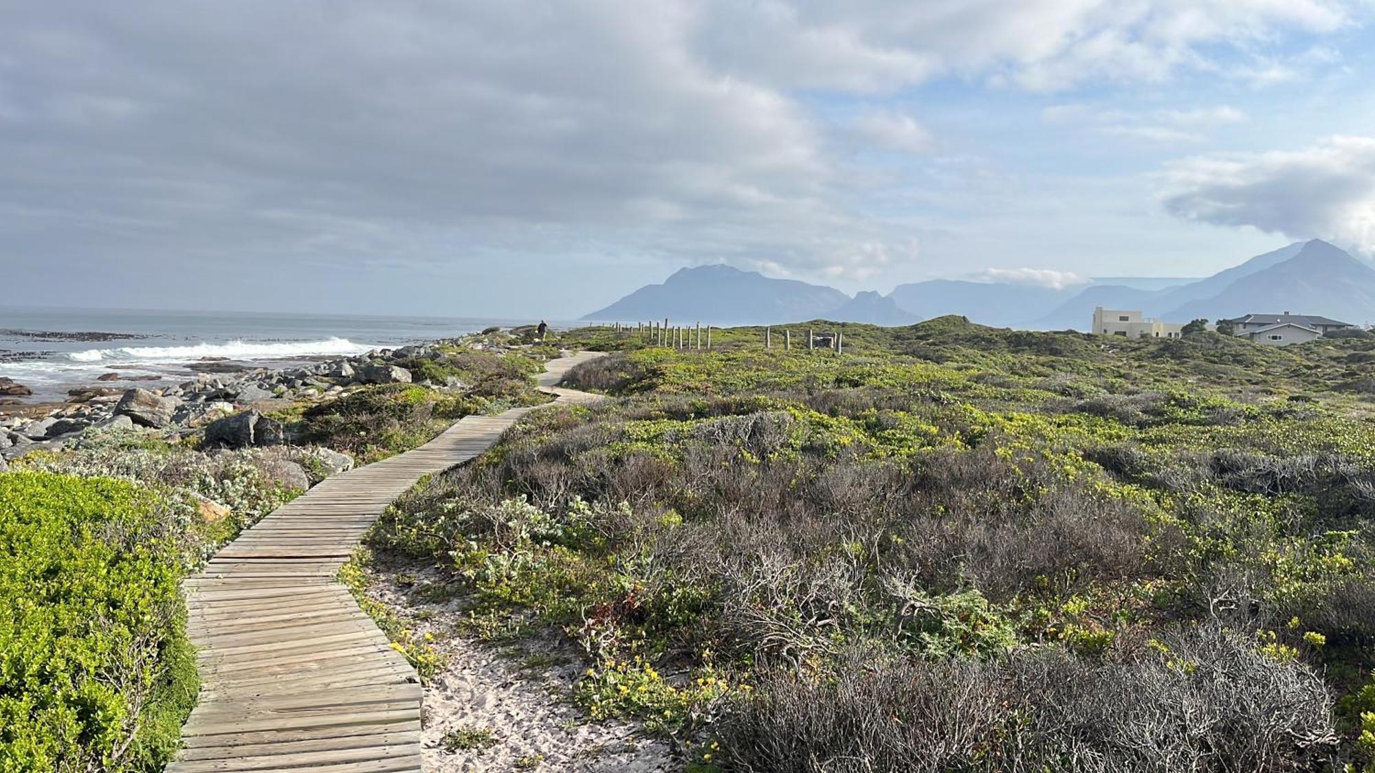 Storyhouse in Kommetjie Eksteriør billede