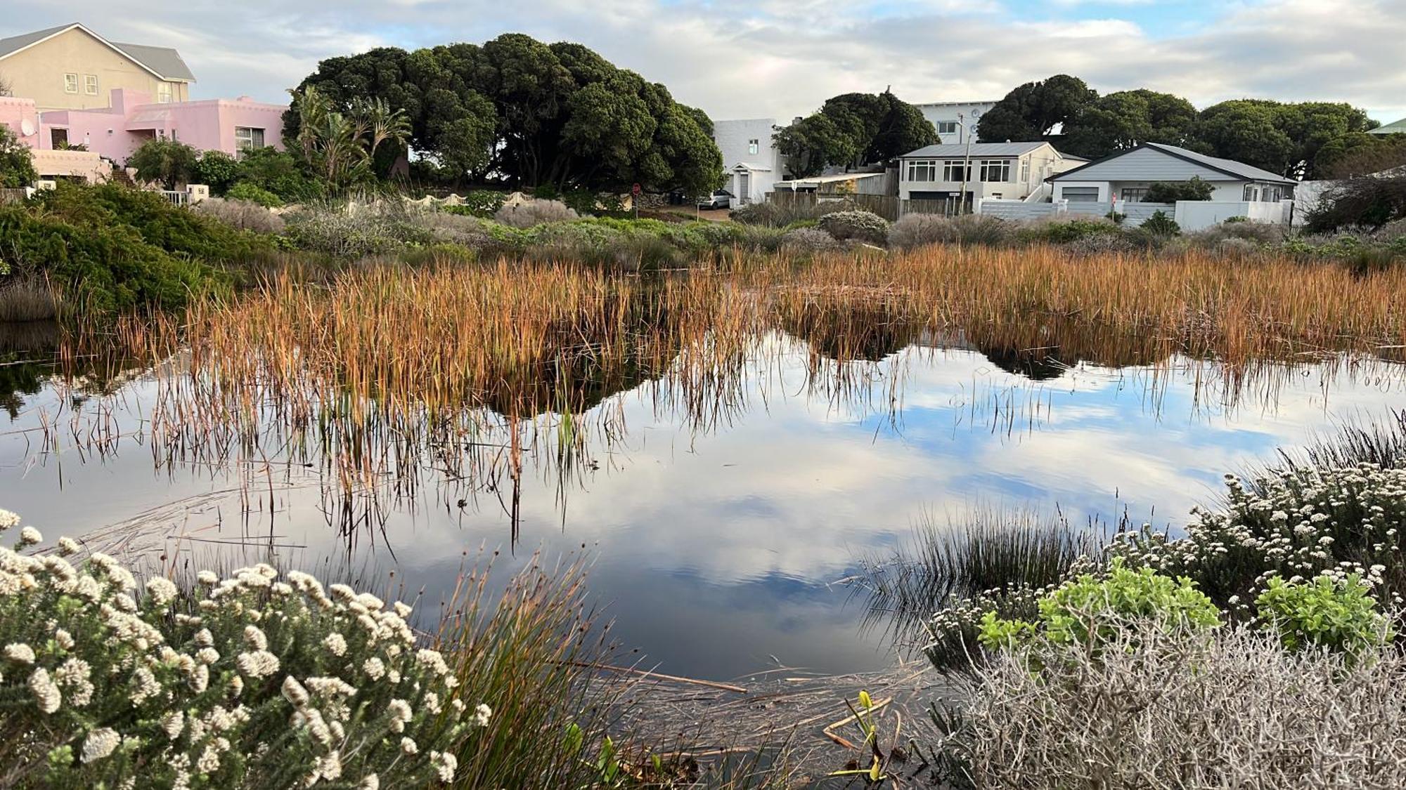 Storyhouse in Kommetjie Eksteriør billede